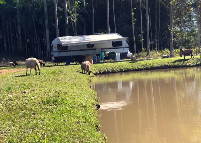 Trailer Em Sitio