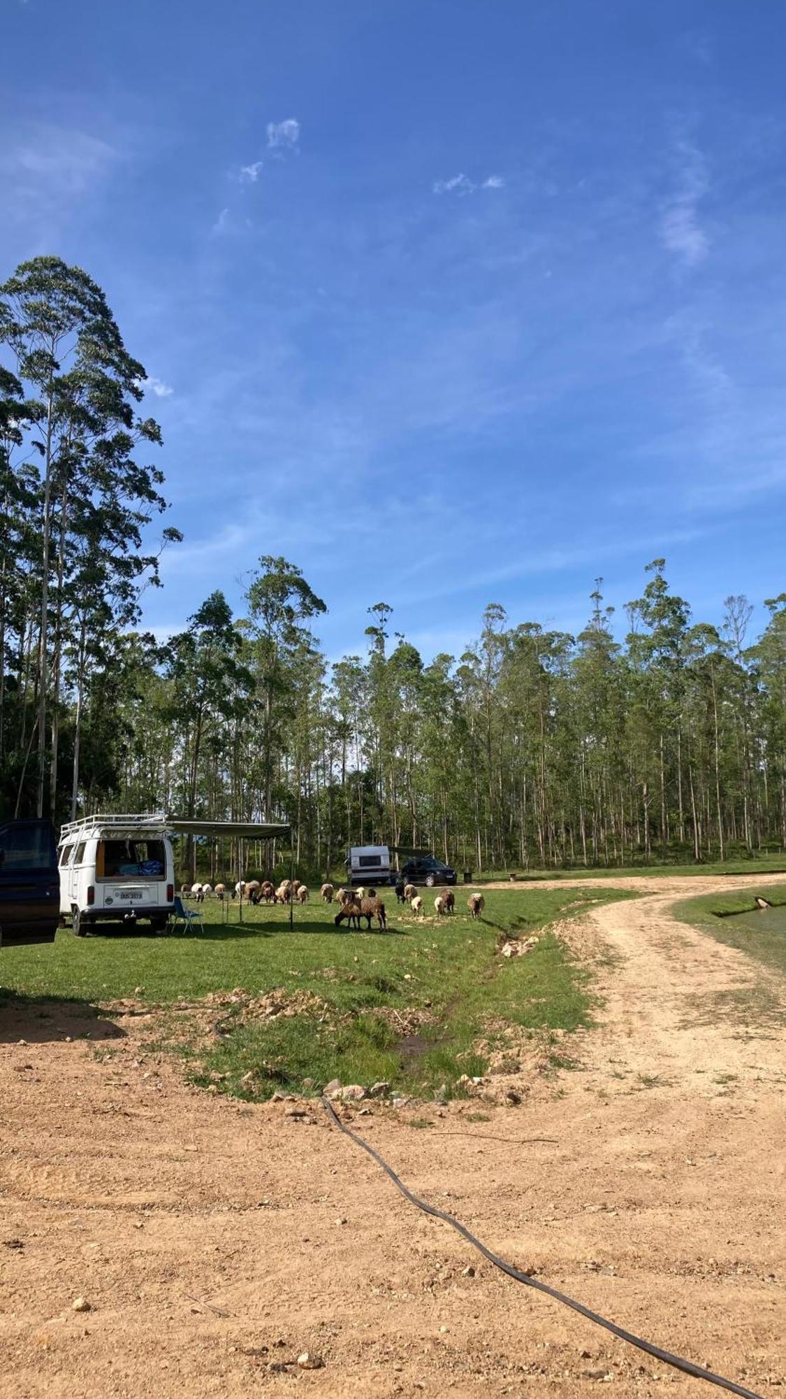 Campsite Trailer Em Sitio