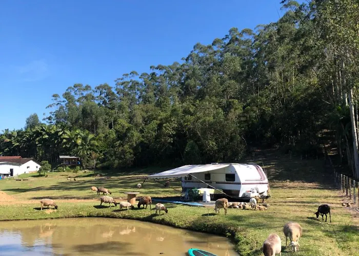 Trailer Em Sitio