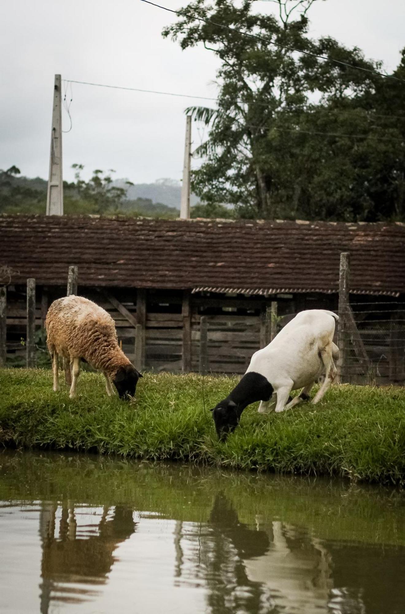 Trailer Em Sitio Timbo (Santa Catarina)